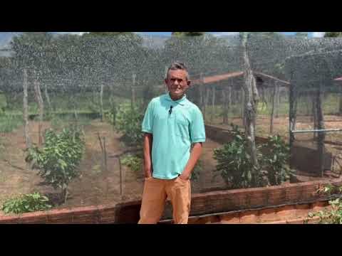 Associação Serra do Baguelo faz da agricultura familiar uma herança a ser cultivada