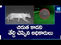Forest Officers Clarified Tiger Wandering In Ranga Reddy Dist | @SakshiTV