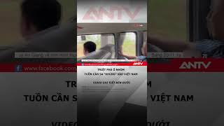 Triệt phá nhóm bán cần sa qua mạng lớn nhất từ trước đến nay #antv #shorts #cansa