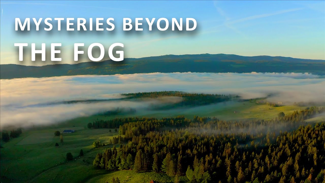 The Wild Frontier | Untamed Switzerland | Documentary