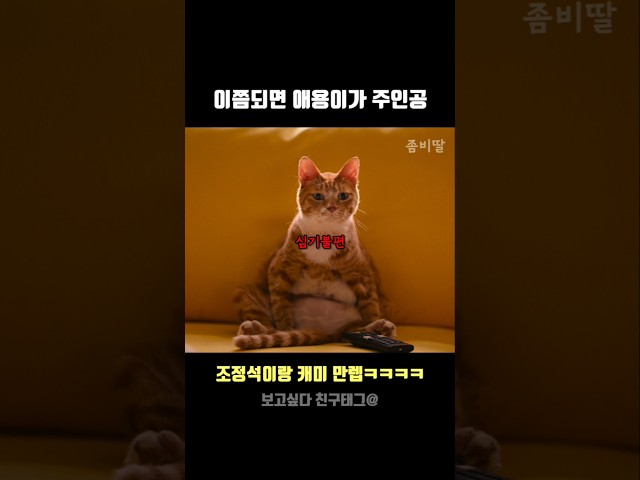 좀비딸 주인공 애용이 맞지? 졸귀 #좀비딸 #영화추천 #고양이