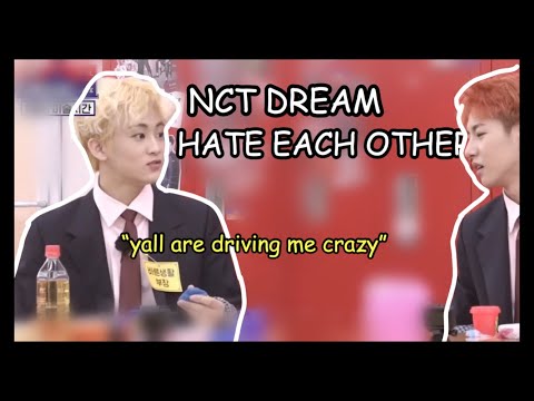 the dreamies hate each other
