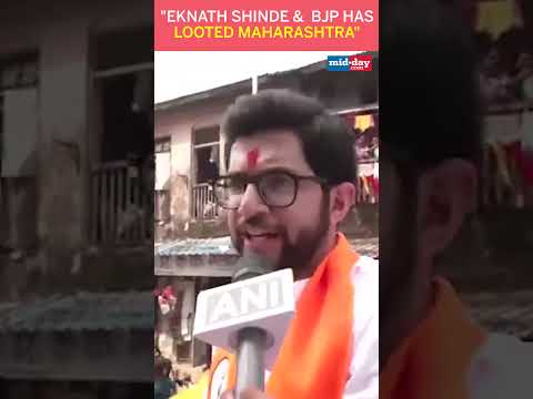 Shiv Sena UBT candidate from Worli Aditya Thackeray BJP  Shinde have looted Maharashtra  38K views  play Short