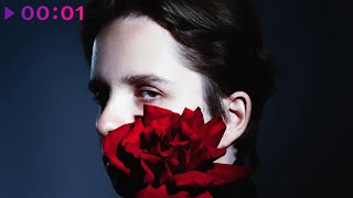 PLVKSA — P.S. | Official Audio | 2025