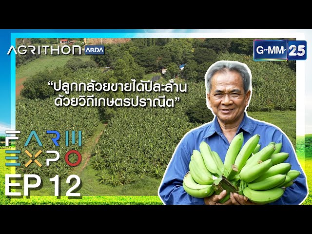 FARM EXPO EP.12 สวน ไร่ ไพวัลย์ กล้วยหอมปลูกกล้วยสร้างรายได้กับวิถีเกษตรปราณีต YSF