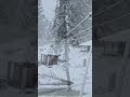 Jammu and Kashmir: Gulmarg बुला रहा है, मौसम की पहली बर्फबारी का नज़ारा  - 00:59 min - News - Video