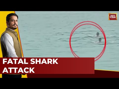 Shocking shark attack claims young man's life, disturbing visuals