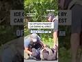 ICE officer struck by car during NJ arrest attempt #shorts #us #news