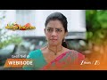 UMMADI KUTUMBAM | అనంద భైరవి మనసులోని బాధను శరణ్యతో చెప్పిందా?