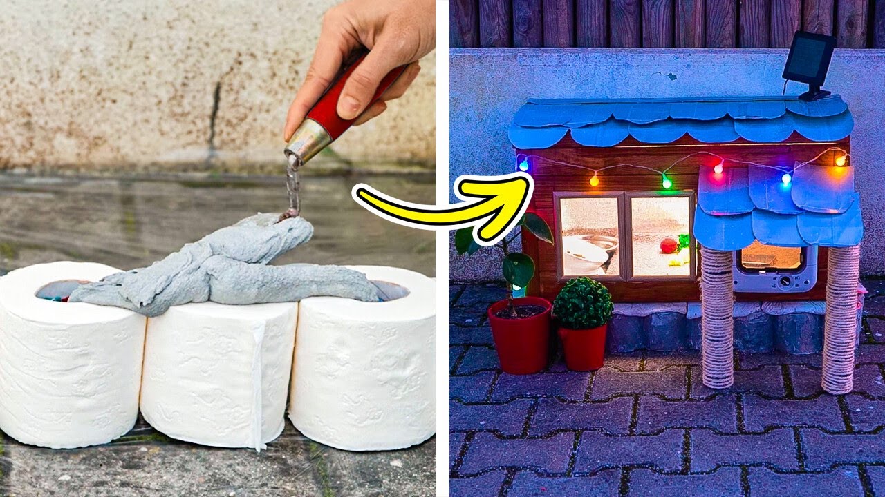 Brilliant DIYs for Happy Pets! 🐶🐱💕 (Perfect for Strays & Home Pets!)