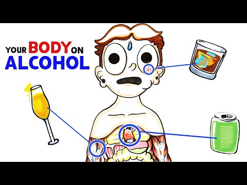 Што се случува со организмот кога пиете алкохол навечер, а што кога пиете преу ден?