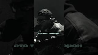 Fardi за чаем зачитал новый парт