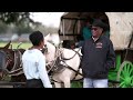 Honoring the long tradition of Black cowboys  - 01:56 min - News - Video