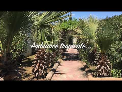 Property video