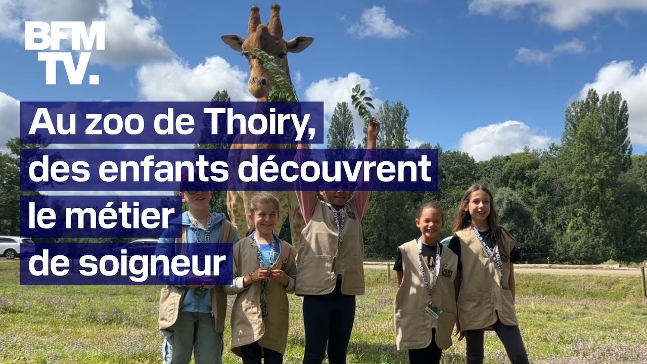 Des enfants se mettent dans la peau d'un soigneur du zoo de Thoiry