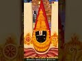 Beautiful Decoration Of Sri Venkateswara Swamy #kotideepotsavam #bhakthitv #srivenkateshwara #shorts