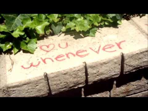 I Will-The Beatles-Lyrics Video (L.V.)