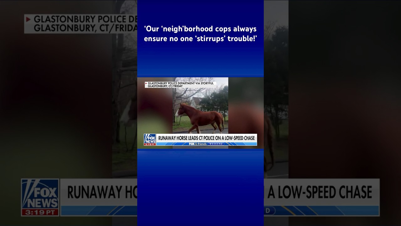 Runaway horse prompts police to hold caption contest #shorts