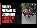 Police Horse Dies Of Heart Attack After Firecrackers Set Off At Eden Gardens