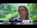 Police provide little information after woman found dead  - 02:10 min - News - Video