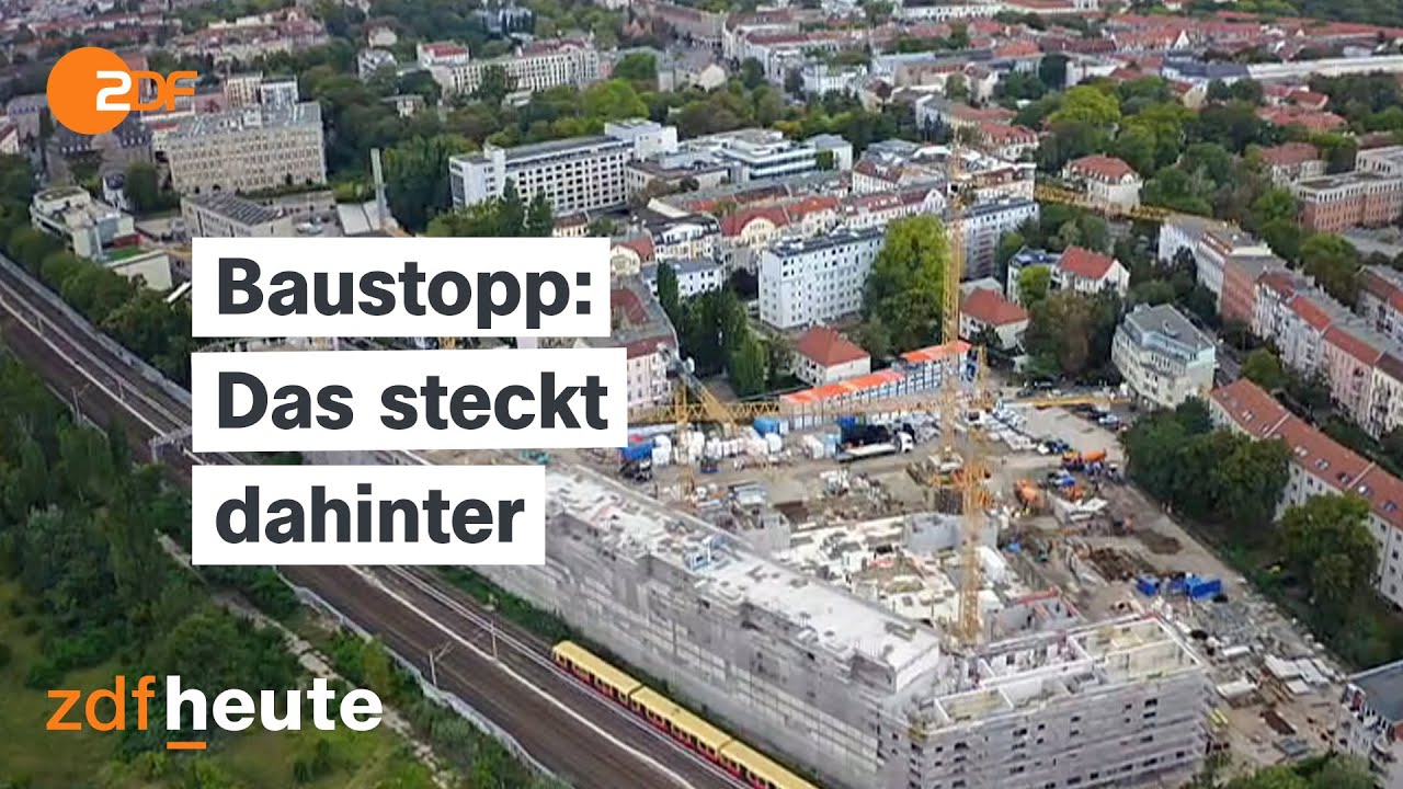 Deutschlands Wohnraummangel: Wenn die Kreuzkröte Bauprojekte ausbremst | frontal