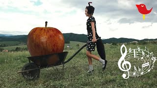 Pesniky Lky a vlka - V mravenisku