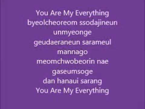 lyric ost Descendants of the sun - you are my everything - gummi