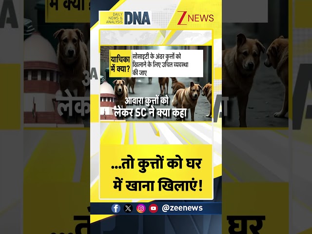 #DNAShorts | ...तो कुत्तों को घर में खाना खिलाएं! | #straydogs #food #zeenews