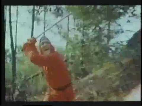 Full Metal Ninja'