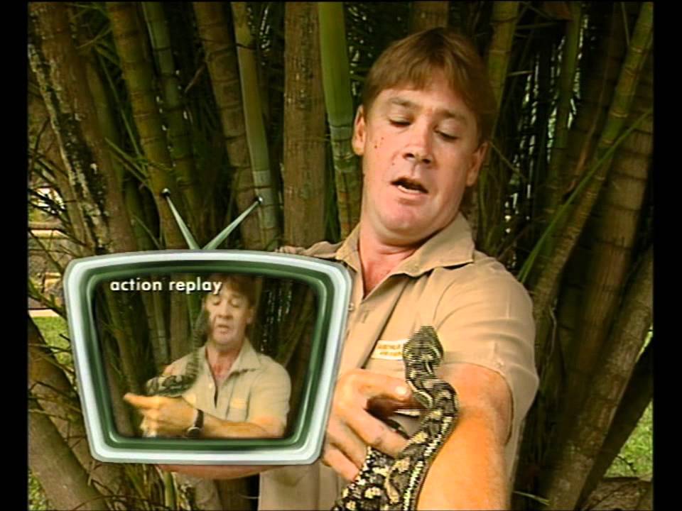 steve irwin pop with snake