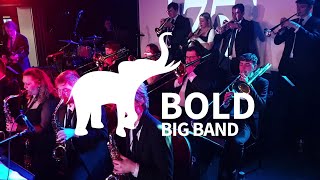 Bold Big Band - Honk