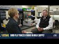 New concern about bird flu in cows as traces of the virus appear in more milk samples  - 01:59 min - News - Video