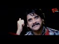 మీ బర్త్ డేకి ఆంధ్రప్రదేశ్ మొత్తం..? Actor Brahmanandam & Nagarjuna Super Hit Comedy | Navvula TV  - 08:44 min - News - Video