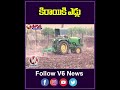 కిరాయికి ఎడ్లు | Rental Farming Bulls | V6 News  - 00:59 min - News - Video