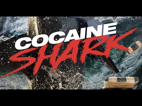 Cocaine Shark'