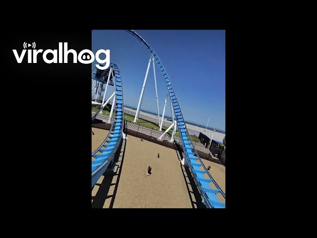 Man Hit by Seagull on Rolle Coaster || ViralHog