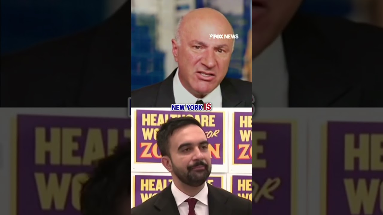 Kevin O'Leary: Mamdani is 'full of BS' #zohranmamdani #newyork #shorts #mayor