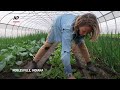 Small farmers adapt to increase in spring rains  - 01:21 min - News - Video