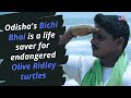 Meet Odishas Bichi Bhai, A Life Saver for Numerous Olive Ridley Turtles | TV9 Digital