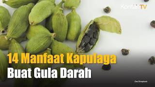 14 Manfaat Kapulaga bagi Kesehatan yang Jarang Diketahui, Benarkah Bisa Turunkan Gula Darah?
