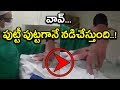 Watch: Newborn Baby walking on Bed- Viral Video