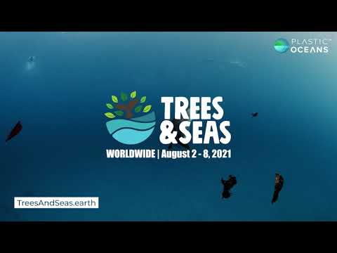 Trees & Seas will see over 70,000 trees planted, over 100 cleanups and over 30 workshops, panel discussions and film screenings.