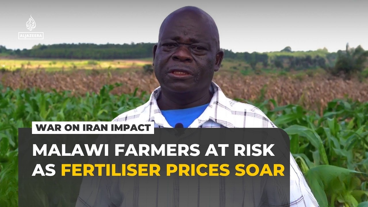 Malawi farmers at risk as war on Iran sends fertiliser prices soaring