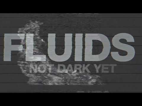 Fluid (Brutal Death – Grind – USA) sortira Not Dark…