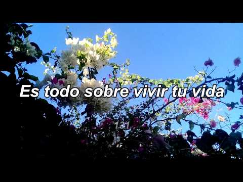 All About You - Kakkmaddafakka // Spanish Lyrics