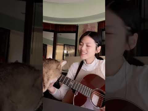 Misi Ke 柯泯薰 - 遊樂 Play（Acoustic Version）