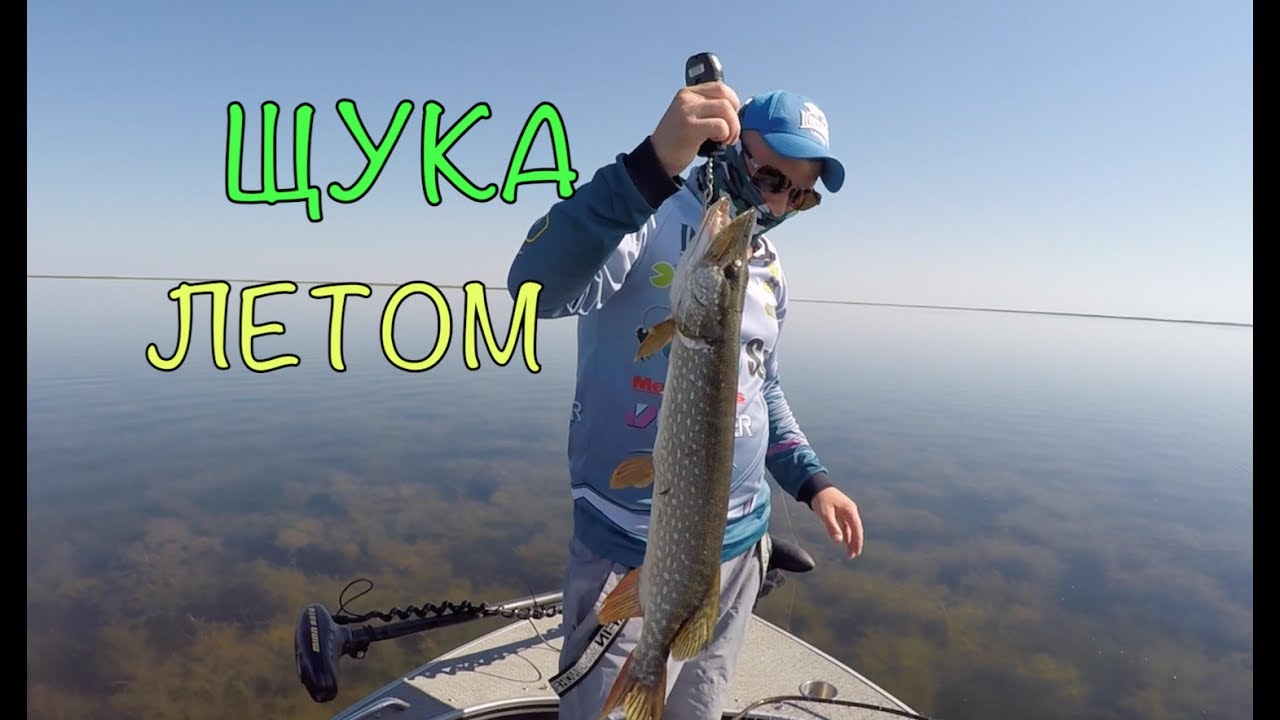 Рыбалка в Приморско-Ахтарске
