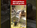 Election 2024: CM Yogi ने काशी विश्वनाथ मंदिर में की पूजा अर्चना | #shorts #shortsvideo #viralshorts  - 00:59 min - News - Video