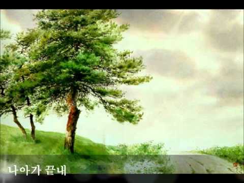 💗상록수 양희은