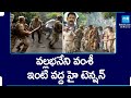 Special Forces Enter.. TDP Leaders Attack On Vallabhaneni Vamsi House | @SakshiTV